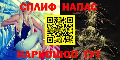 каннабис Будённовск