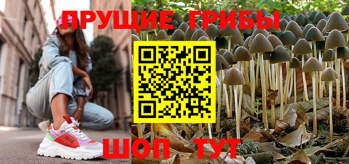 Острогожск  Псилоцибиновые грибы Magic Shrooms  Вход с VPN  закладки  Псилоцибиновые грибы Cubensis 